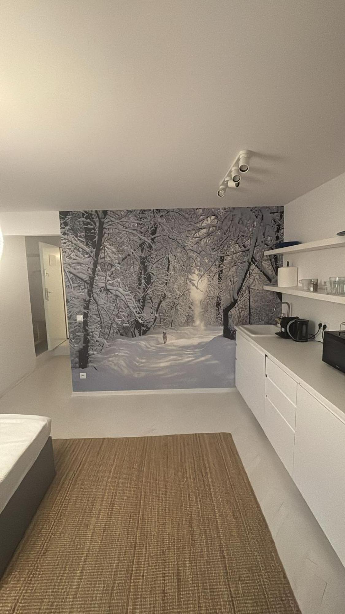 Апартаменты Four Seasons Old Town - Winter Варшава Экстерьер фото
